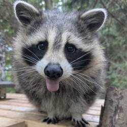 589272 B