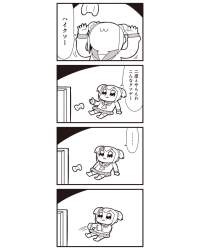 50326 B