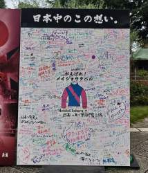 1128157 B