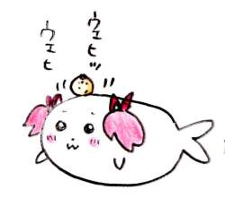 75753 B