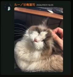186903 B