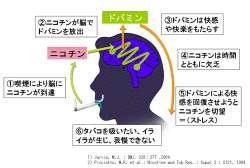 56236 B