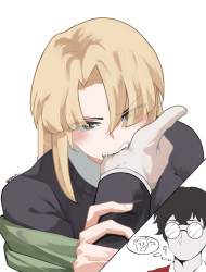 217763 B