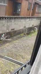 7755061 B