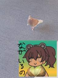 808512 B