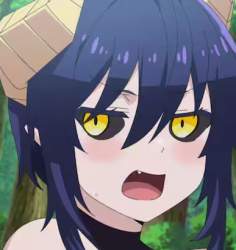 46261 B