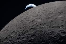2306363 B