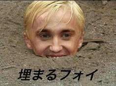 11774 B