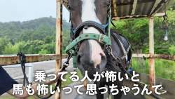 1575820 B