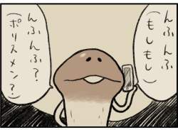 43267 B