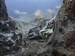 8135963 B