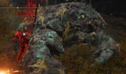 229496 B