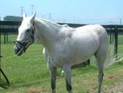 20013 B