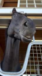 4469609 B