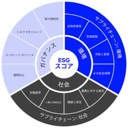 26922 B