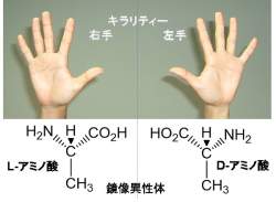 63934 B