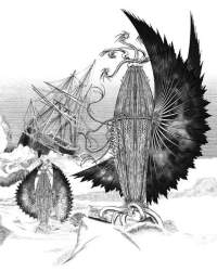 56646 B