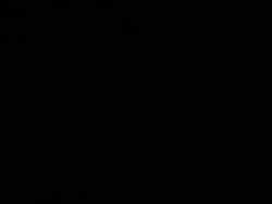 3402309 B