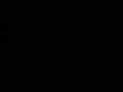 1255607 B
