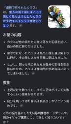 277385 B