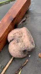 1449658 B