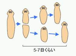 9364 B