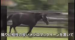 1393843 B