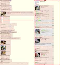 2624850 B