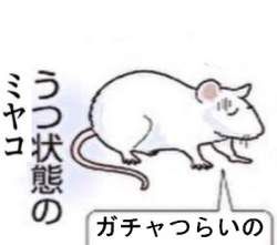 25157 B