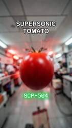 23787 B