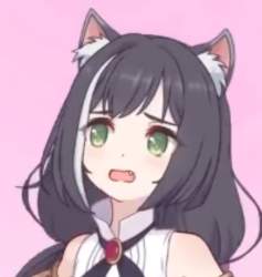 40428 B