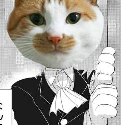 41779 B