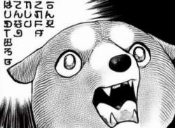 582723 B