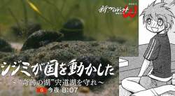 2296375 B