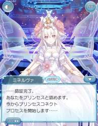 243081 B