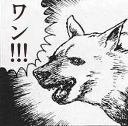 72862 B