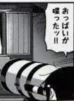 50899 B