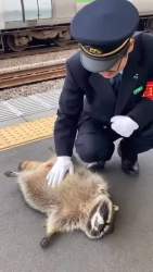 37668 B