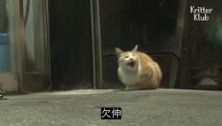 122730 B