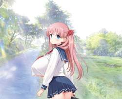 1077797 B