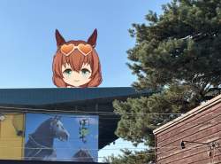 437997 B