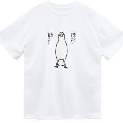 99051 B