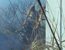 243085 B