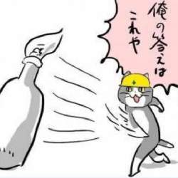 48796 B