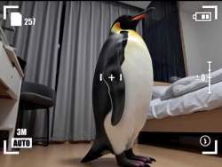 5979990 B