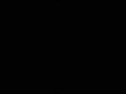 6613146 B