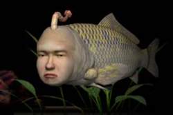 20705 B