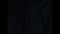 7674379 B