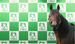 133446 B