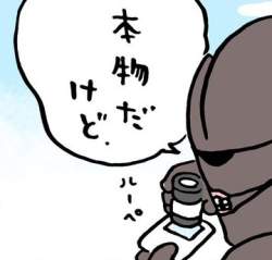 24776 B